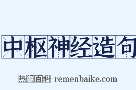 中枢神经造句是什么意思的图片